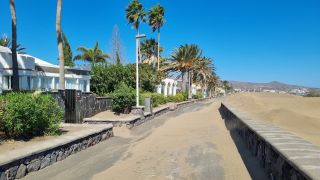 GC-Paseo Costa Canaria - Dunas 2023-039.jpg